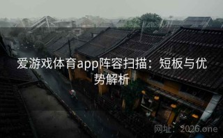 爱游戏体育app阵容扫描:短板与优势解析