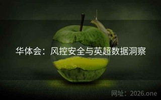 华体会:风控安全与英超数据洞察