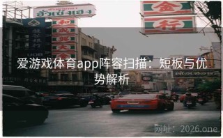 爱游戏体育app阵容扫描:短板与优势解析