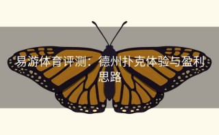 易游体育评测:德州扑克体验与盈利思路