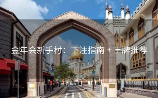 金年会新手村:下注指南 + 王牌推荐