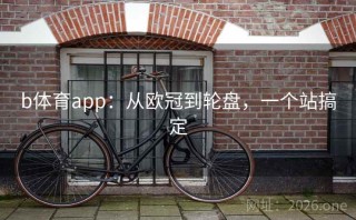 b体育app:从欧冠到轮盘,一个站搞定