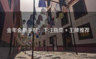 金年会新手村:下注指南 + 王牌推荐