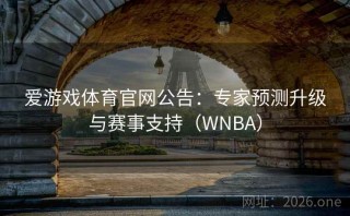 爱游戏体育官网公告:专家预测升级与赛事支持(WNBA)