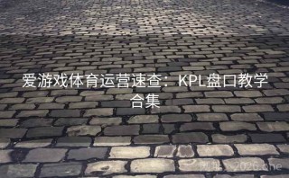 爱游戏体育运营速查:KPL盘口教学合集