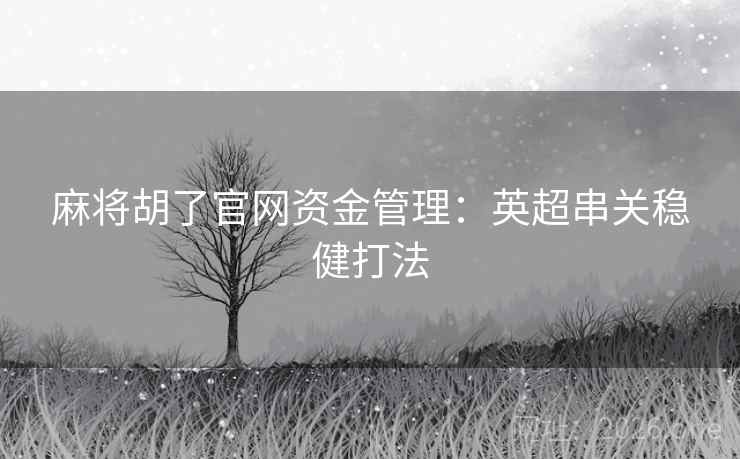 麻将胡了官网资金管理:英超串关稳健打法  第2张 麻将胡了官网资金管理:英超串关稳健打法  第2张