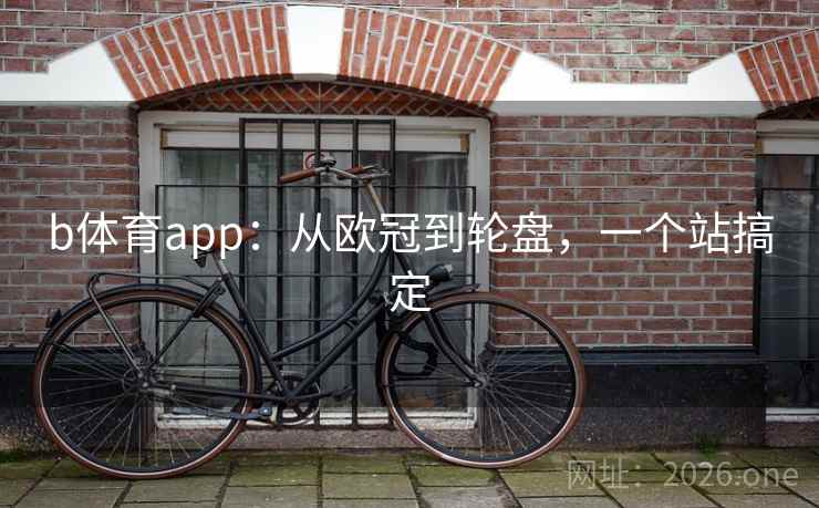 b体育app:从欧冠到轮盘,一个站搞定  第1张 b体育app:从欧冠到轮盘,一个站搞定  第1张