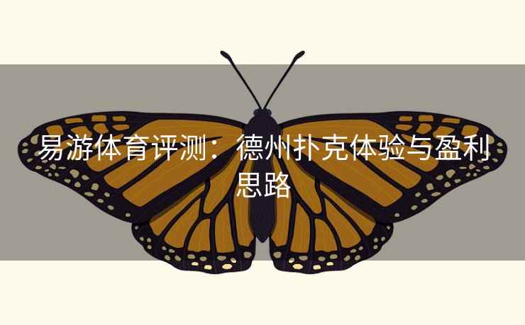 易游体育评测:德州扑克体验与盈利思路  第2张 易游体育评测:德州扑克体验与盈利思路  第2张