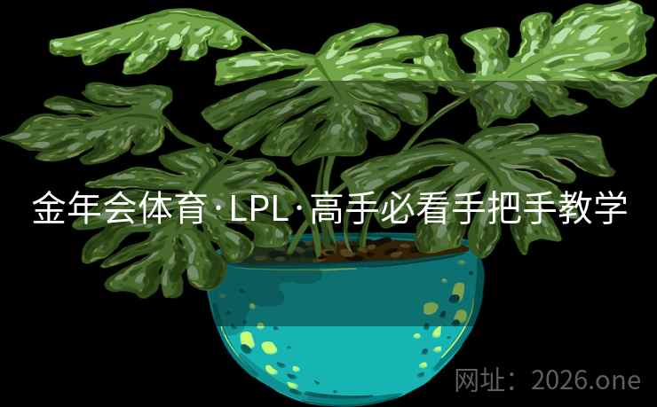 金年会体育·LPL·高手必看手把手教学  第1张 金年会体育·LPL·高手必看手把手教学  第1张