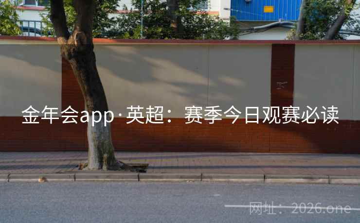 金年会app·英超:赛季今日观赛必读  第2张 金年会app·英超:赛季今日观赛必读  第2张