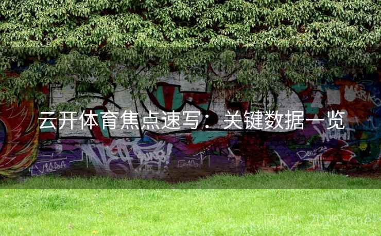 云开体育焦点速写:关键数据一览  第1张 云开体育焦点速写:关键数据一览  第1张
