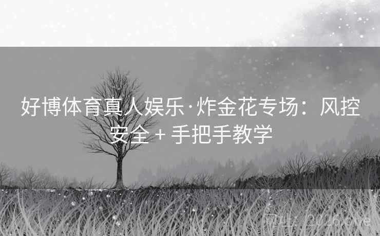 好博体育真人娱乐·炸金花专场：风控安全 + 手把手教学  第2张